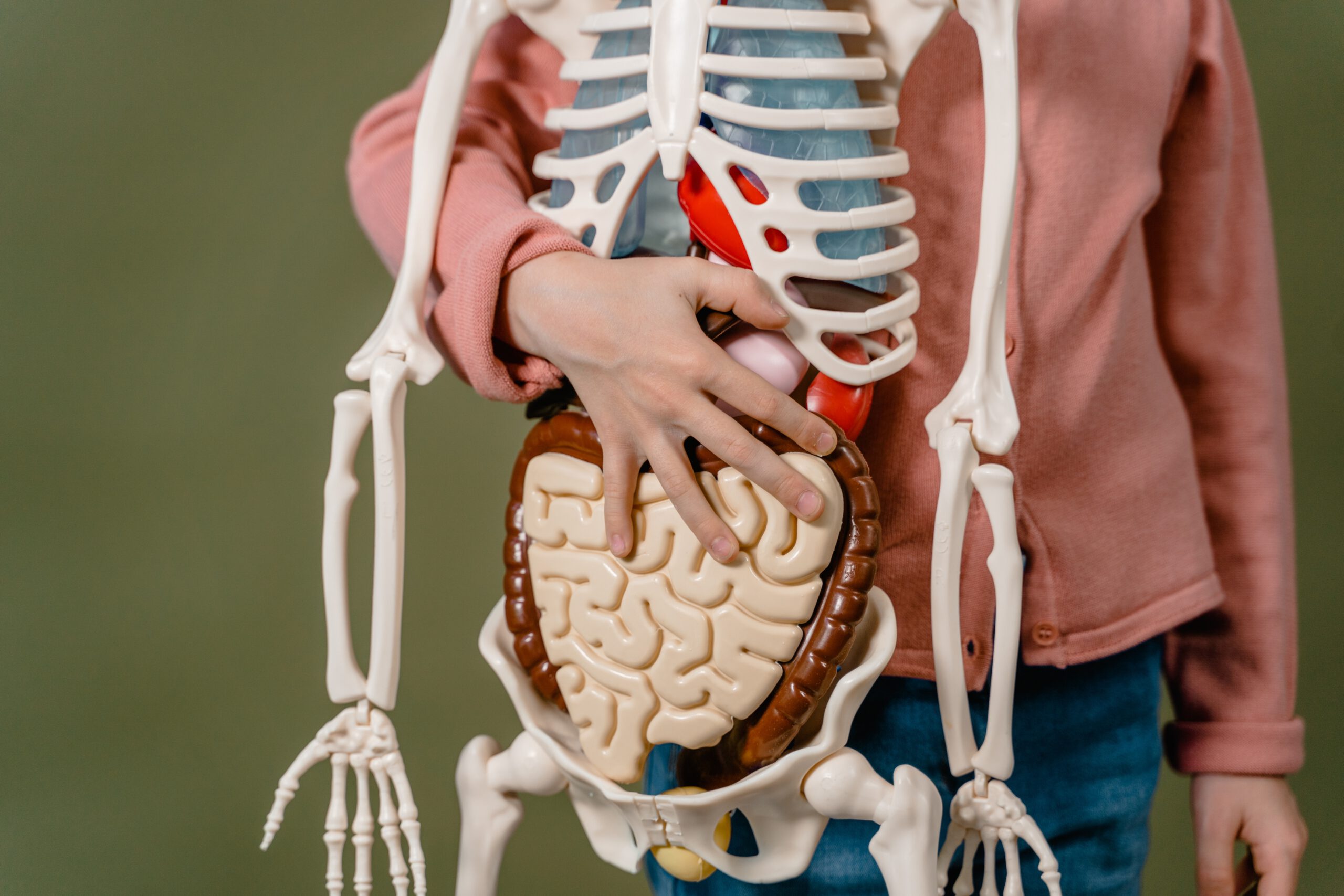 Dziecko trzymające szkolny szkielet pod pachą